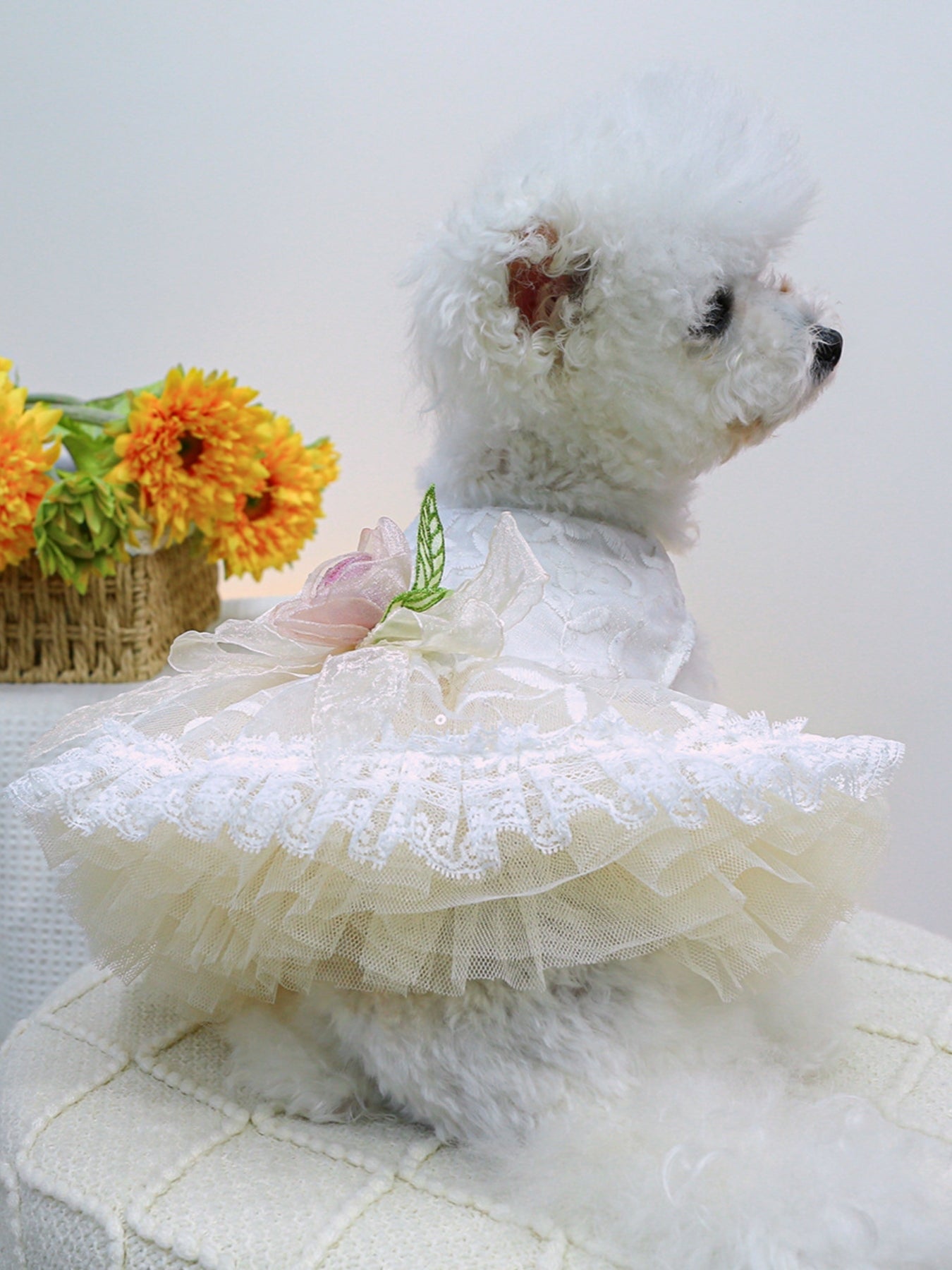 3d4993c7-42bf-47b4-af6e-888ff655a01b-Max