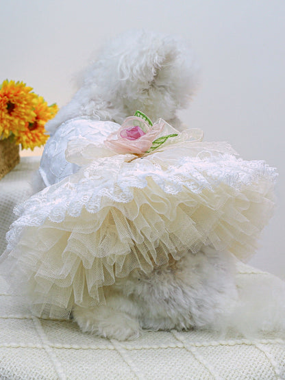 40dc7f8e-1e5f-4a13-98da-fb216ecc9906-Max