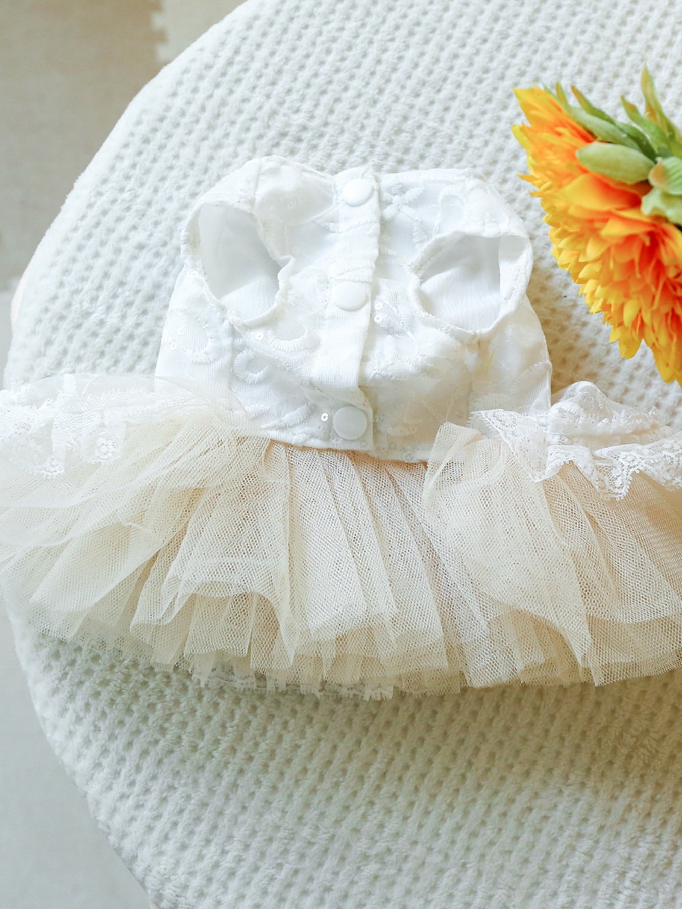 51d9abff-19dc-40f7-8120-1a868672ba6d-Max