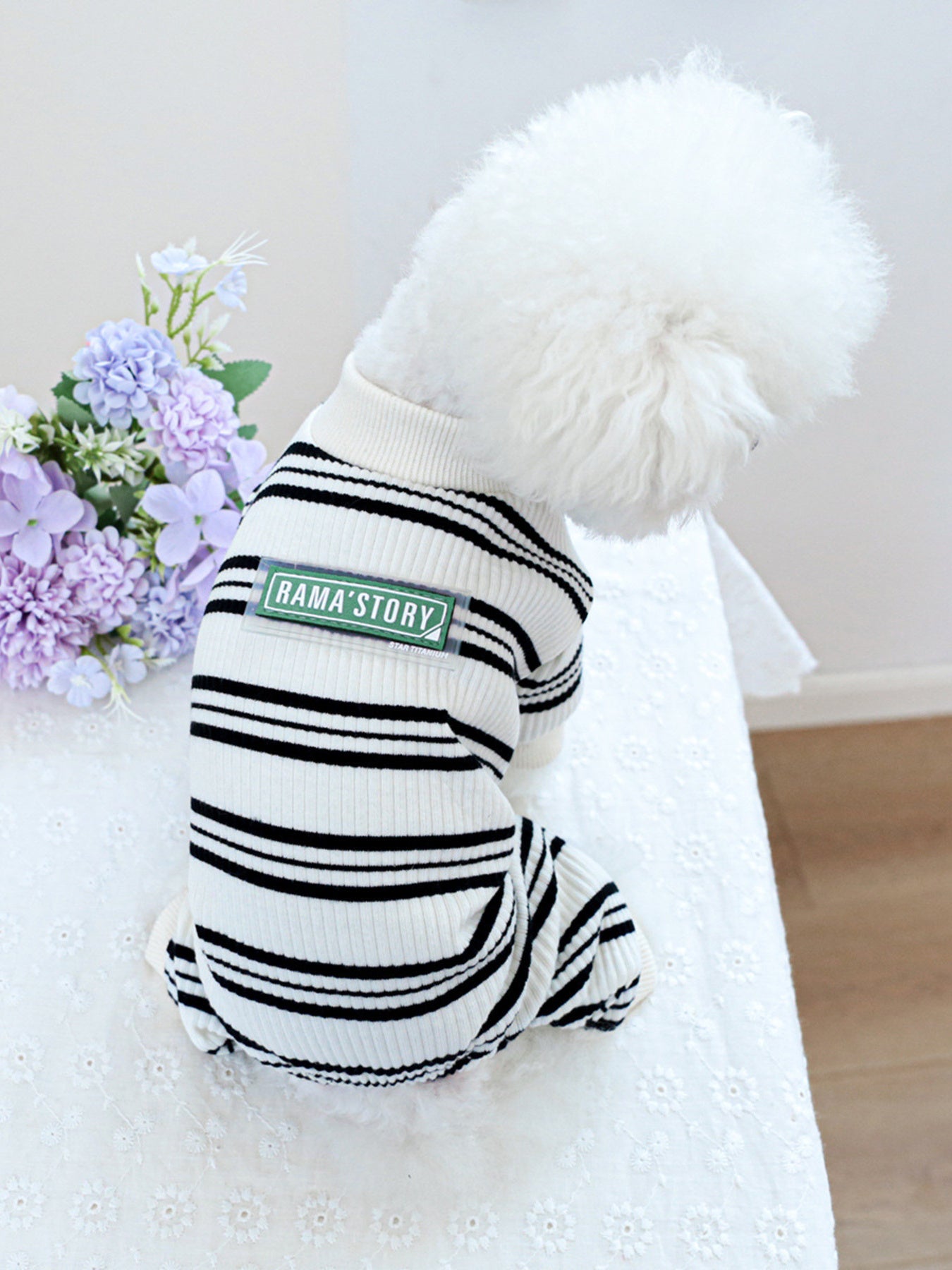 5ae98ff13562467eb5a4d6caa35097d2-Max