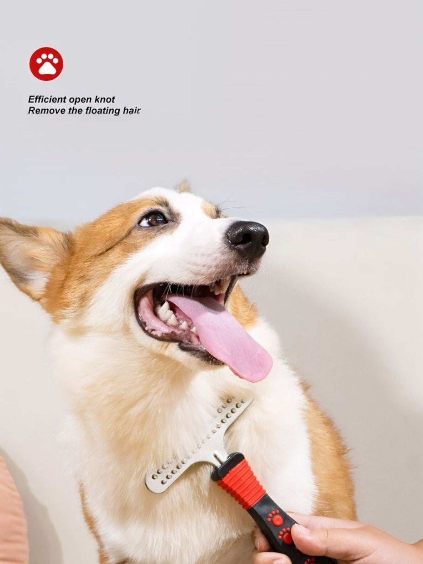 7242a0f643d64c7f9d7a05f1aa9c3509-Max