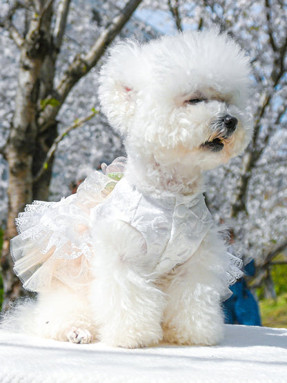 725ba6c0-7901-41e1-8946-a117053318df-Max