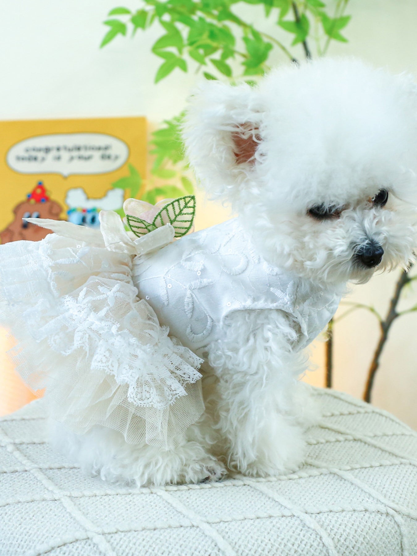 7dcf8f67-b2a2-459f-b874-2b69a640f19a-Max