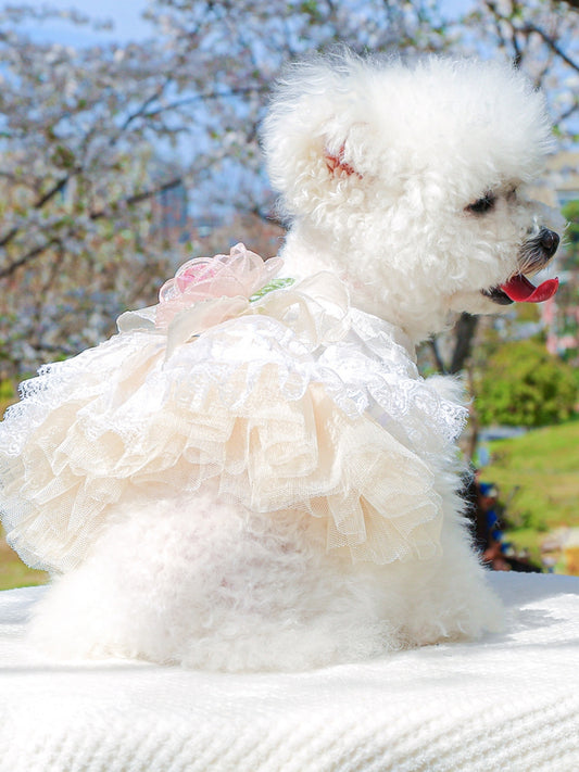 94de4a25-78f2-41d2-8e0d-5843588156dd-Max