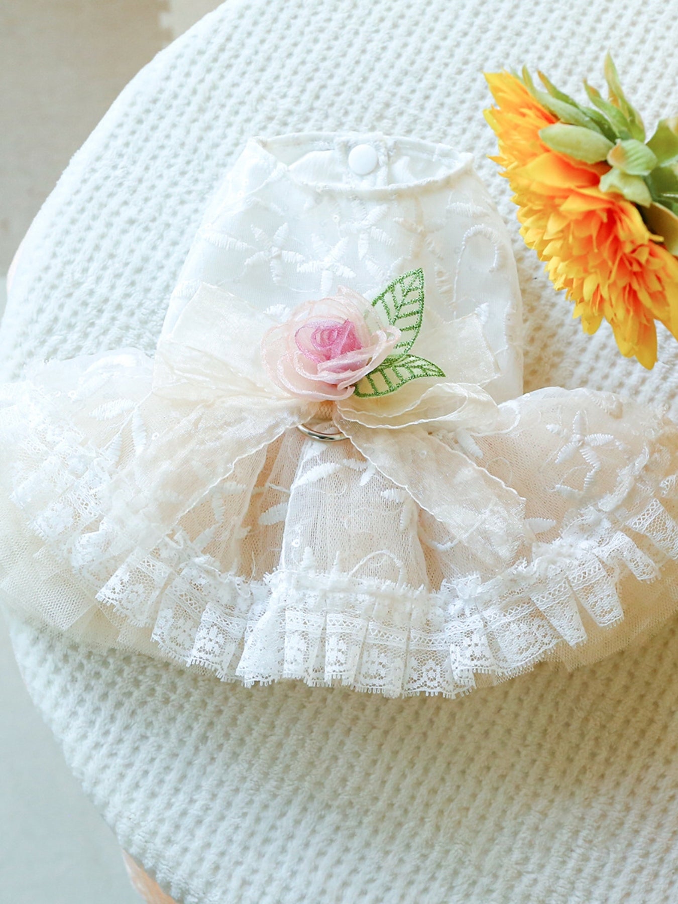 a898c584-d196-4c7a-88e9-4b745d3f7a56-Max