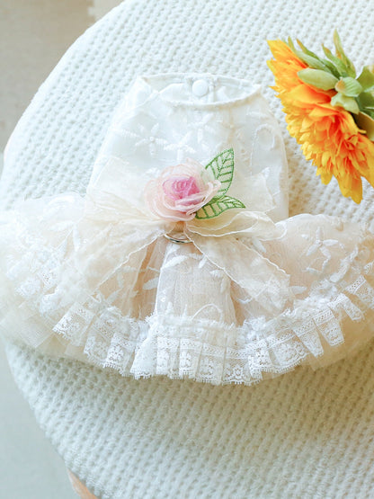 a898c584-d196-4c7a-88e9-4b745d3f7a56-Max