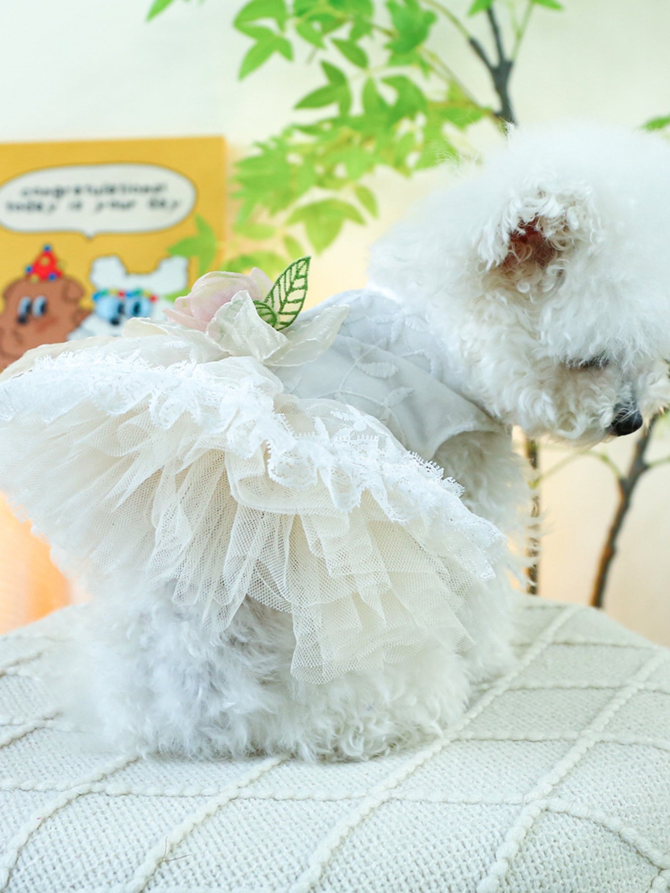 a900cd98-5c45-4996-a43b-434591440a38-Max