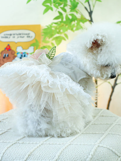 a900cd98-5c45-4996-a43b-434591440a38-Max