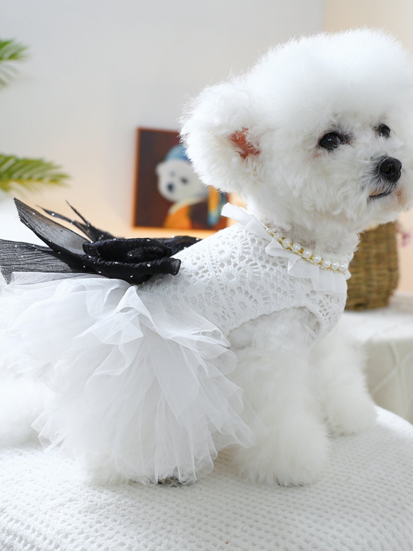 d6dd6e7f-63f1-4f6c-916b-589d9a072b05-Max