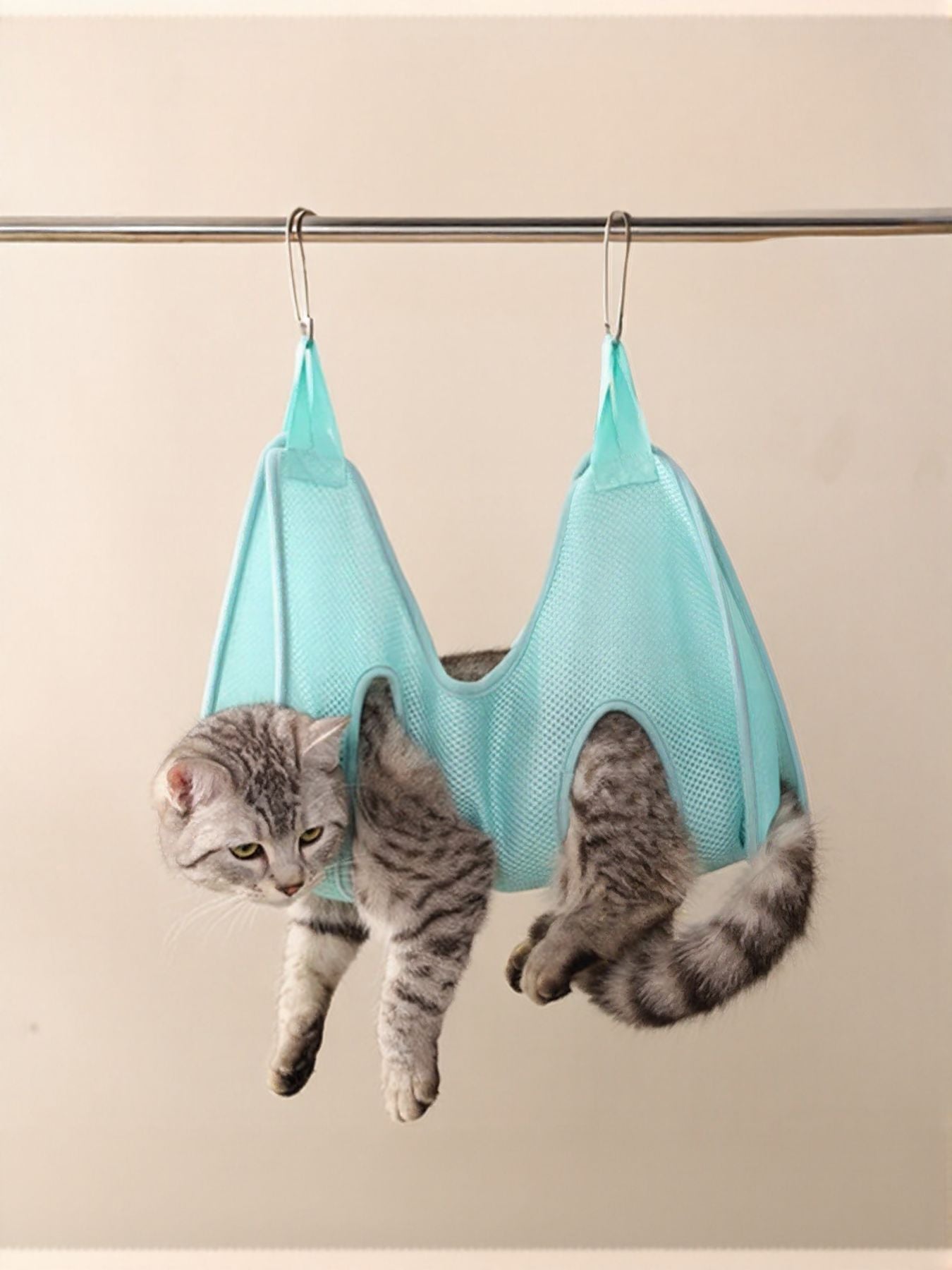 df5f60ec-a1e3-4b21-8008-2af47a30e5cf-Max