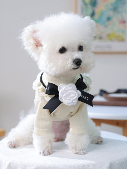 f277f63a-17f8-4320-9e41-6fbff191619d-Max