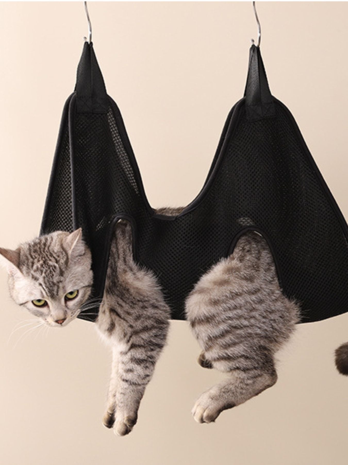 f8a697ed-fe9d-43e3-87d2-2b509581b2f1-Max